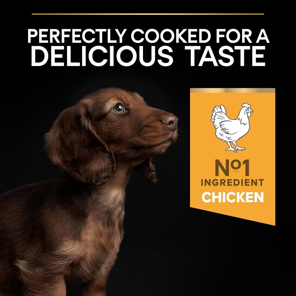Pro Plan Small Und Mini Puppy Healthy Start, Welpenfutter Trocken, Reich an Huhn, 1Er Pack (1 X 3 Kg)
