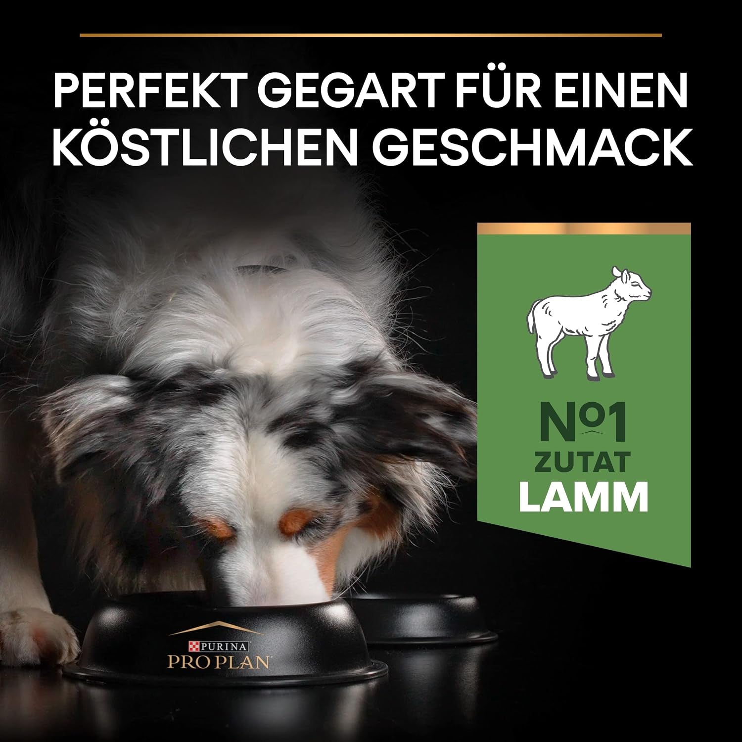 Pro Plan Medium Adult Sensitive Digestion, Hundefutter Trocken, Reich an Lamm, 1Er Pack (1 X 3 Kg)