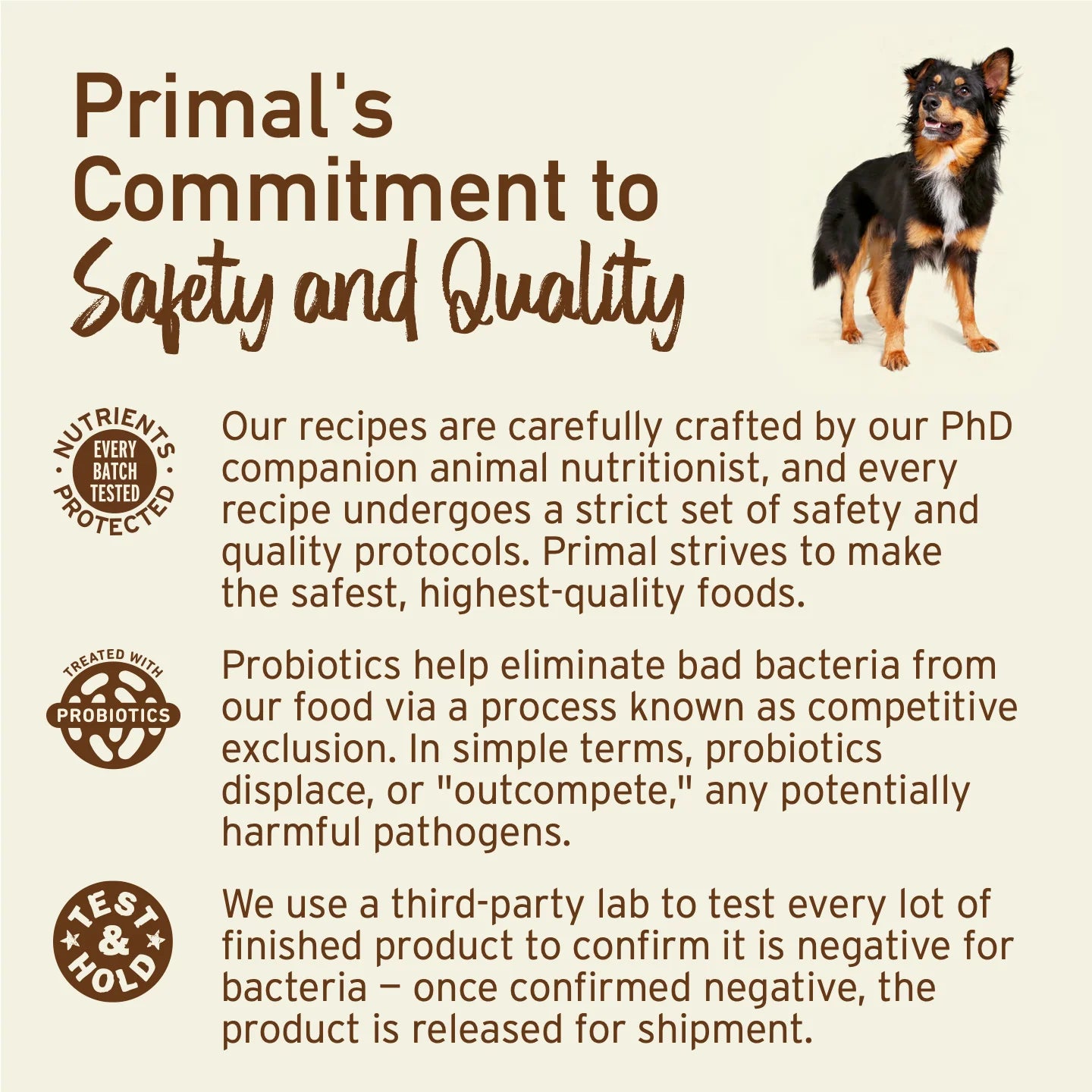 Freeze-Dried Raw Dog Treats - Peelin’ Fantastic