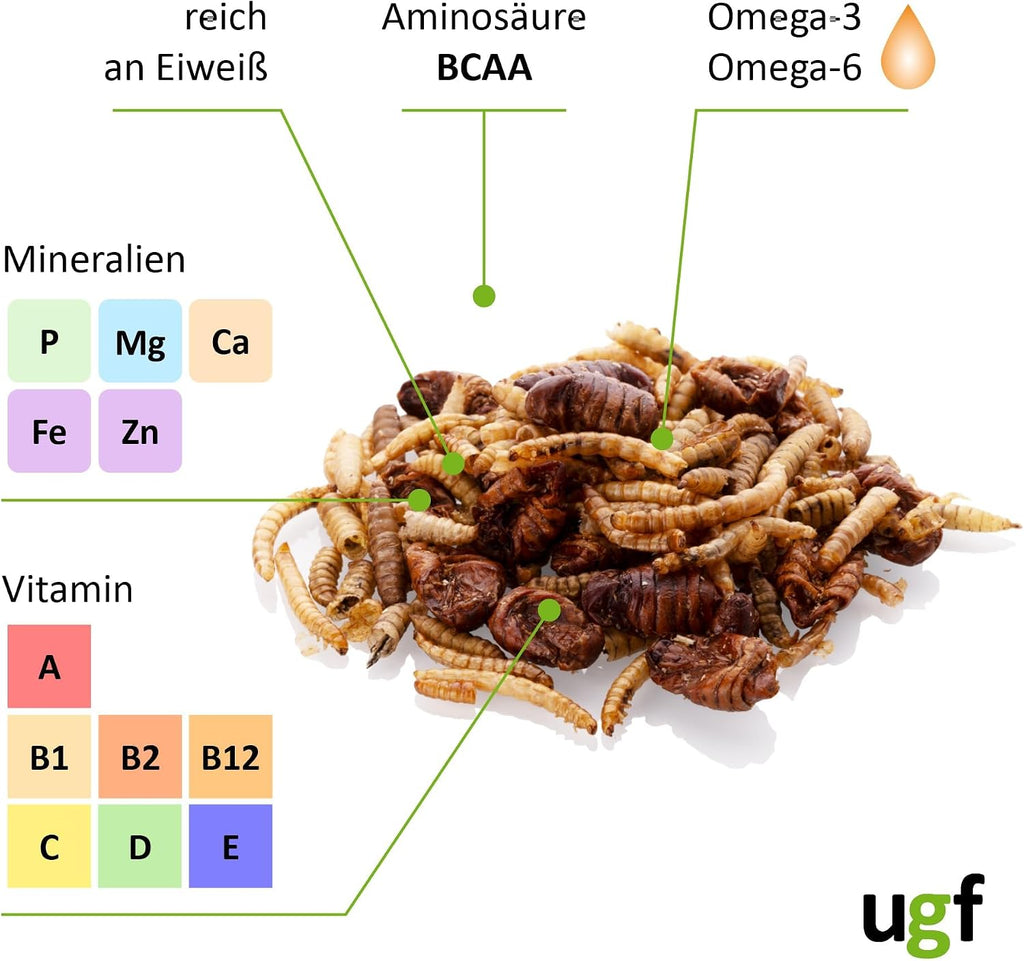 UGF - Insektenmischung - 80G Im 500 Milliliter Eimer, Igelfutter, Rennmausfutter, Hamsterfutter, Rattenfutter, Eidechsenfutter - Mehlwürmer, Soldatenfliegenlarven, Seidenraupen