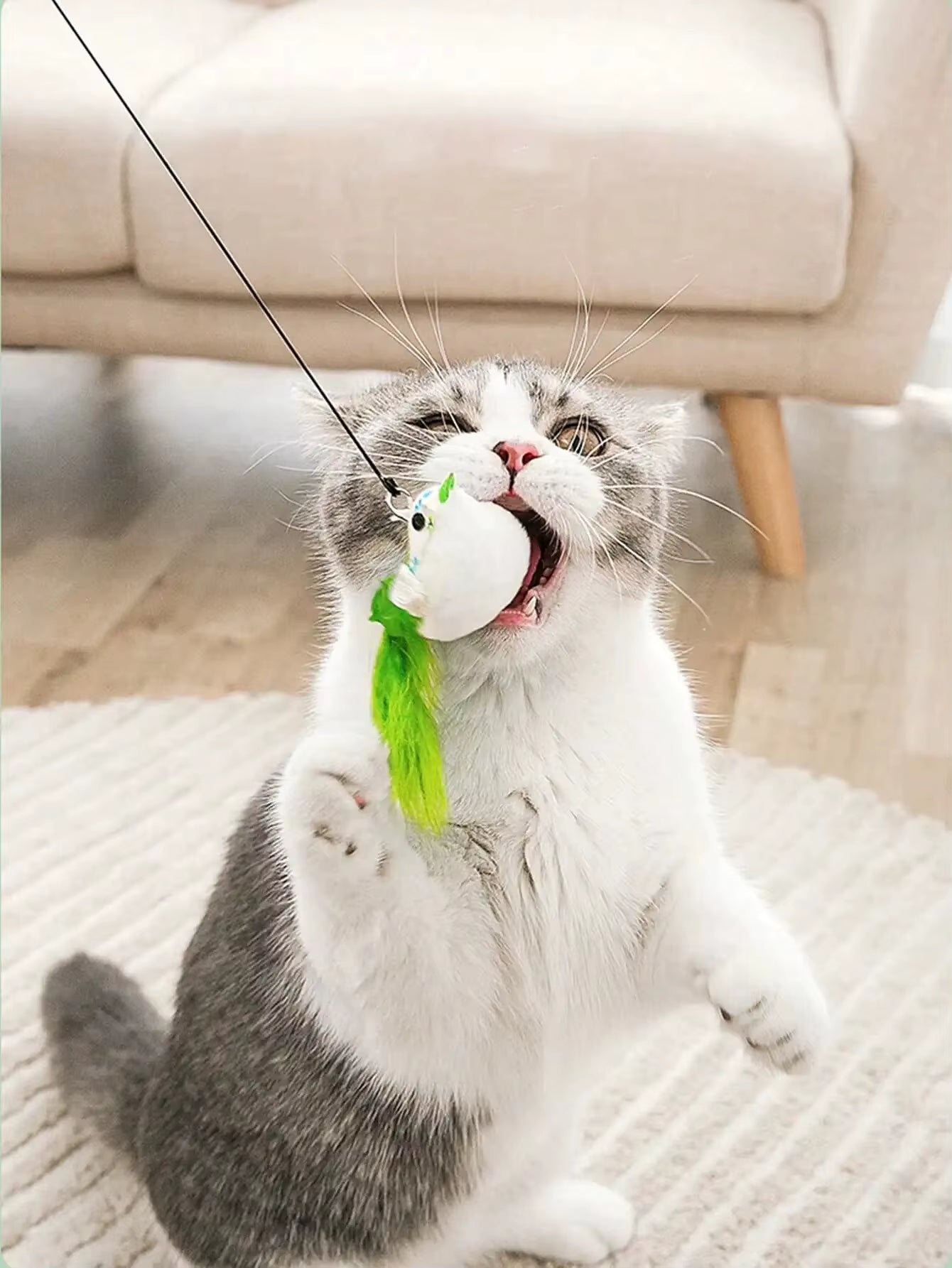 1Pcs Cat Interactive Toy Simulate Bird Interactive Sucker Feather Bell Funny Cat Toys
